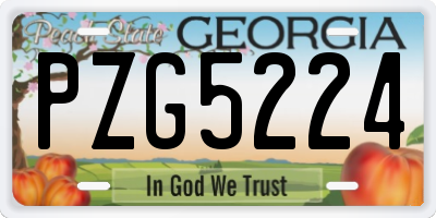 GA license plate PZG5224