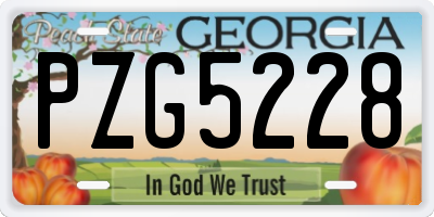 GA license plate PZG5228