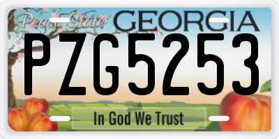 GA license plate PZG5253