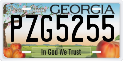 GA license plate PZG5255
