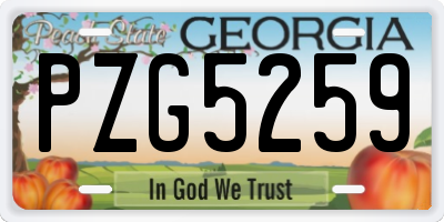 GA license plate PZG5259