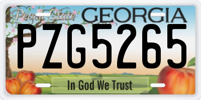 GA license plate PZG5265