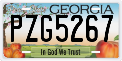 GA license plate PZG5267