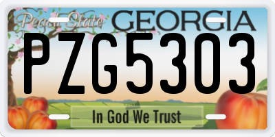 GA license plate PZG5303