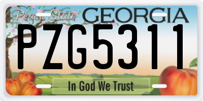 GA license plate PZG5311