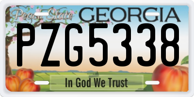GA license plate PZG5338