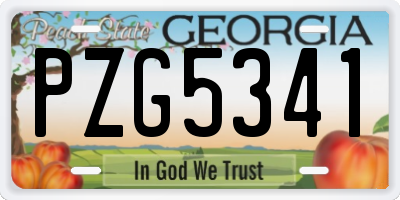 GA license plate PZG5341