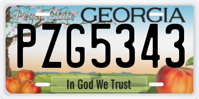 GA license plate PZG5343