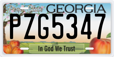 GA license plate PZG5347