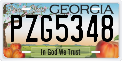 GA license plate PZG5348