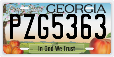 GA license plate PZG5363
