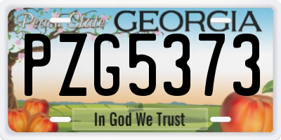 GA license plate PZG5373