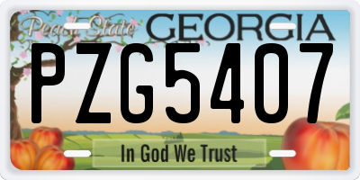 GA license plate PZG5407