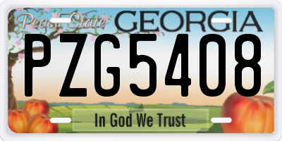 GA license plate PZG5408