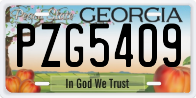 GA license plate PZG5409