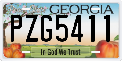 GA license plate PZG5411