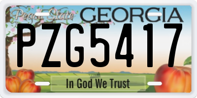 GA license plate PZG5417