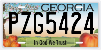 GA license plate PZG5424