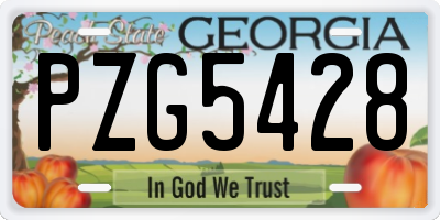 GA license plate PZG5428