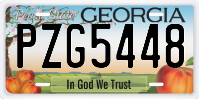 GA license plate PZG5448
