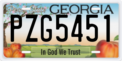 GA license plate PZG5451