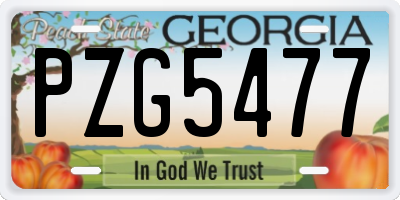 GA license plate PZG5477