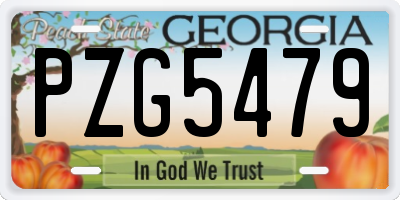GA license plate PZG5479