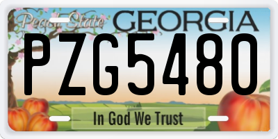 GA license plate PZG5480