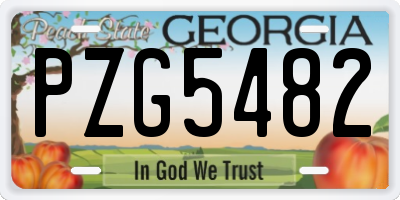 GA license plate PZG5482