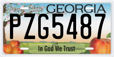 GA license plate PZG5487