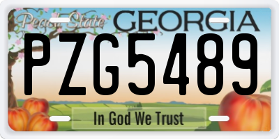 GA license plate PZG5489