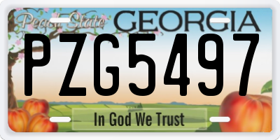 GA license plate PZG5497