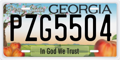 GA license plate PZG5504