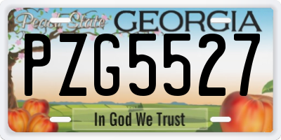 GA license plate PZG5527