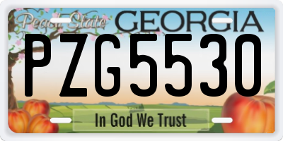GA license plate PZG5530