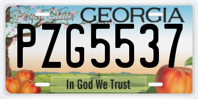 GA license plate PZG5537