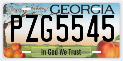 GA license plate PZG5545