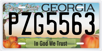 GA license plate PZG5563