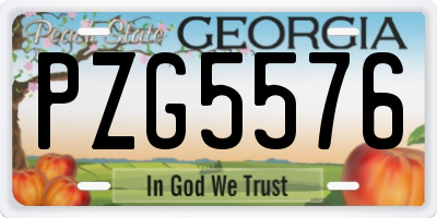 GA license plate PZG5576