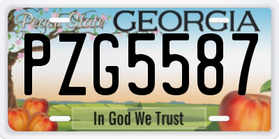 GA license plate PZG5587