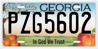 GA license plate PZG5602