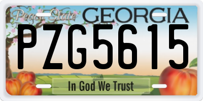 GA license plate PZG5615
