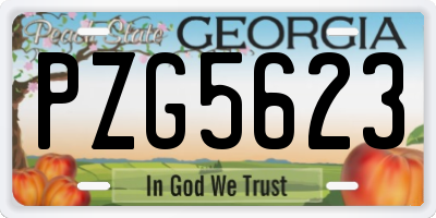 GA license plate PZG5623