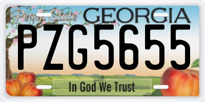 GA license plate PZG5655