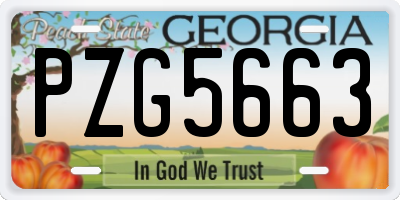 GA license plate PZG5663