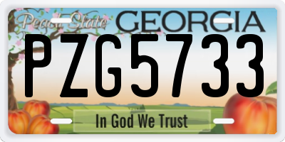 GA license plate PZG5733