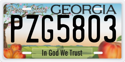 GA license plate PZG5803