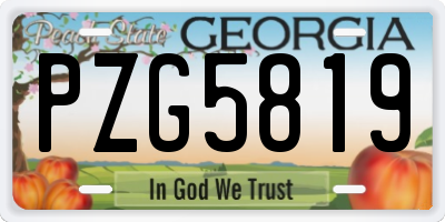 GA license plate PZG5819