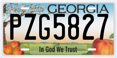 GA license plate PZG5827