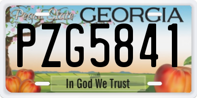 GA license plate PZG5841